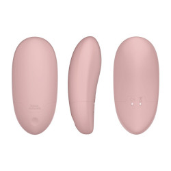 BIJOUX INDISCRETS - VIBRADOR ÃNTIMO RECARREGVEL