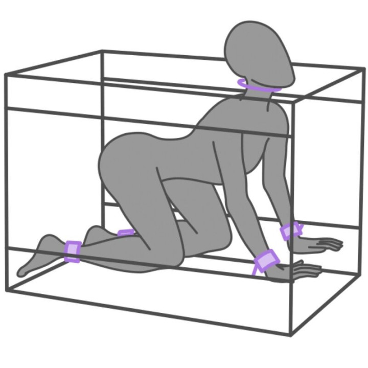 SECRET DOME - KINK CLUB LA NICHE CABINE ROXA