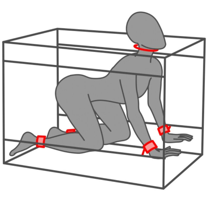 SECRET DOME - KINK CLUB LA NICHE CABIN PRETO E VERMELHO