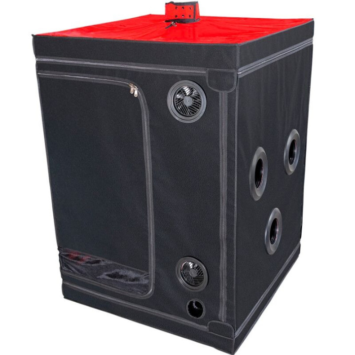 SECRET DOME - ESCÂNDALO DA CABINE DO KINK CLUB PRETO E VERMELHO