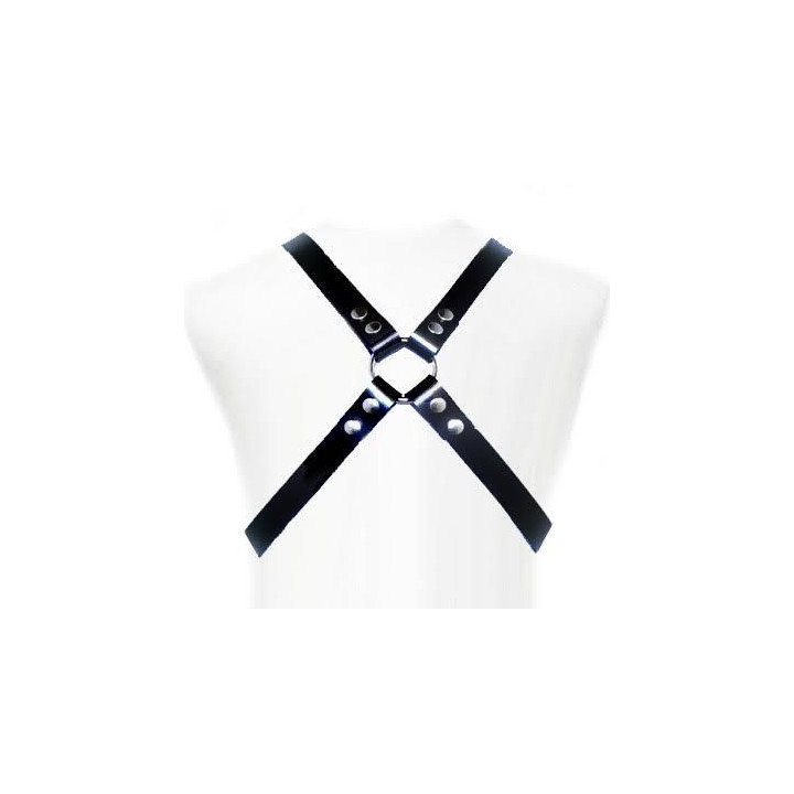 LEATHER BODY - ARREIO BSICO