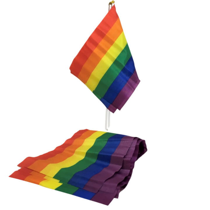 PRIDE - BANDEIRA LGBT BANDEIRA PEQUENA