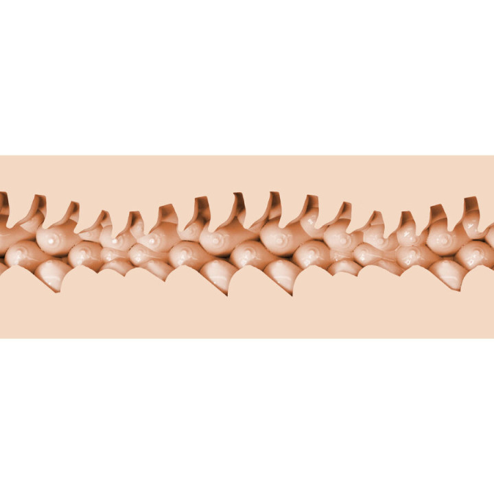 FLESHLIGHT FANTASIA - EVIE AKASHIYA VAGINA