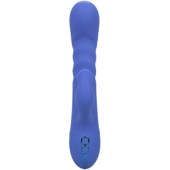 CALEXOTICS - LA LOVE VIBRADOR E SUCÇÃO AZUL DA CALIFORNIA DREAMING