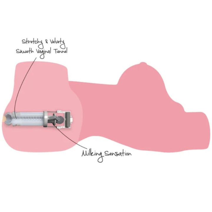 DESEJO OCULTO - TORSO DE CADELA ORDENHEIRA SAFADA. MASTURBADORA FEMININA. 10 KG